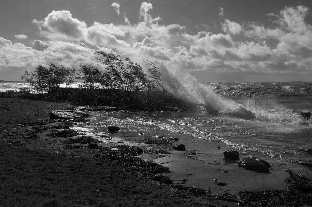 Photograph by Светлана Воробьёва