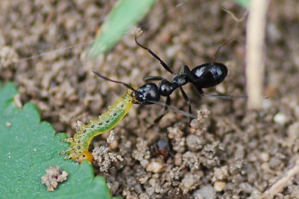 Photograph by Оксана Трофименко