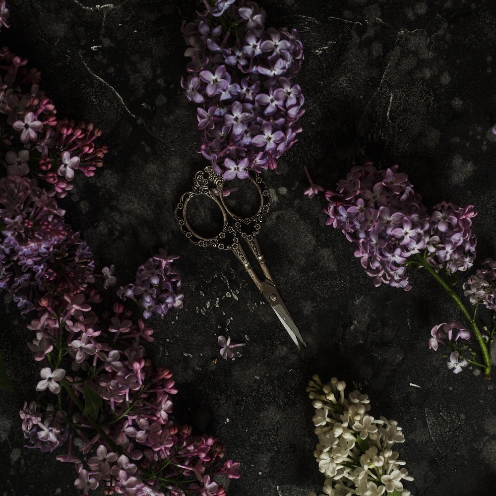 Photograph by Marie Dashkova