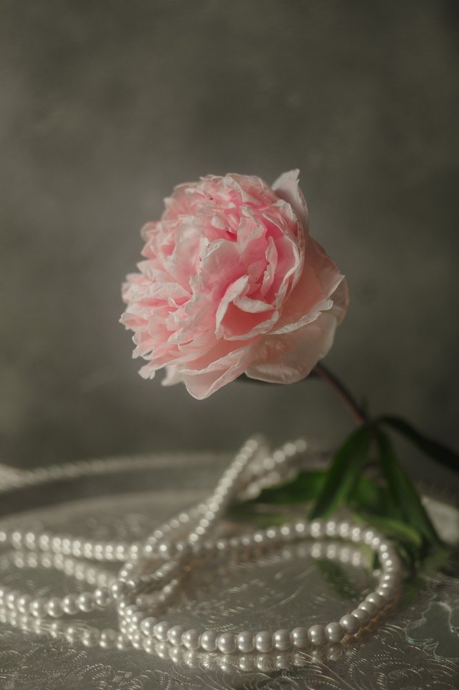 Photograph by Marie Dashkova