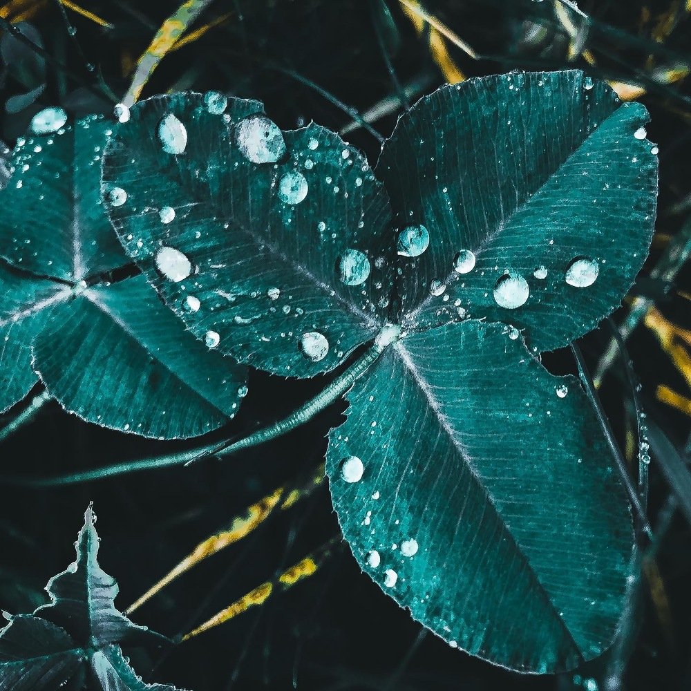 Photograph by Артём Бочкарёв