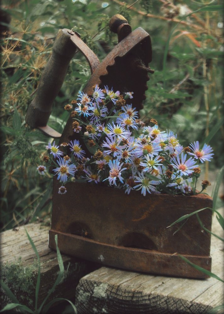 Photograph by Нина Минченко