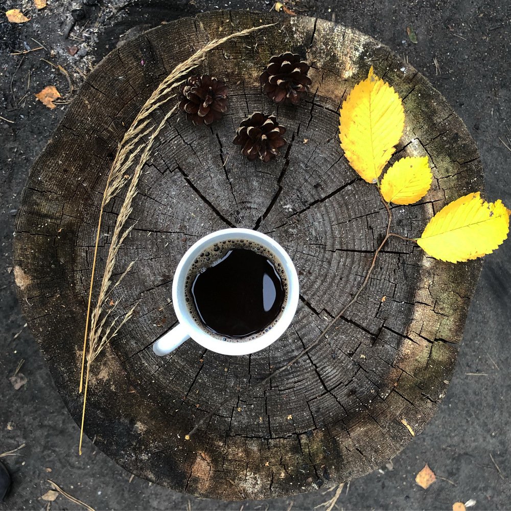 Photograph by Артём Бочкарёв