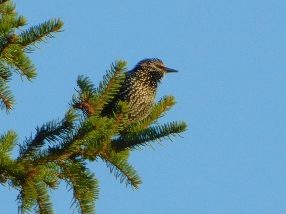 Photograph by Елена Грошева