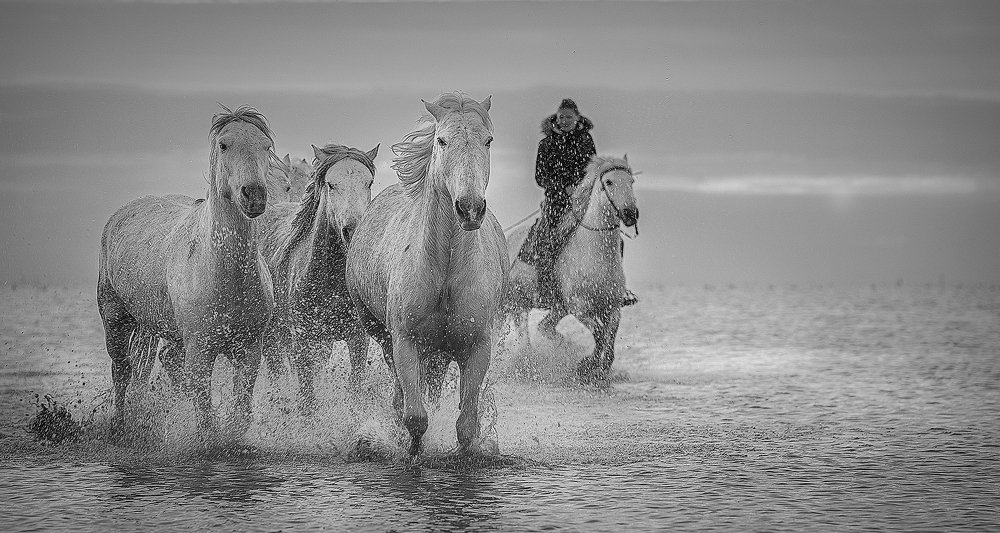 Photograph by Irena Mamyko