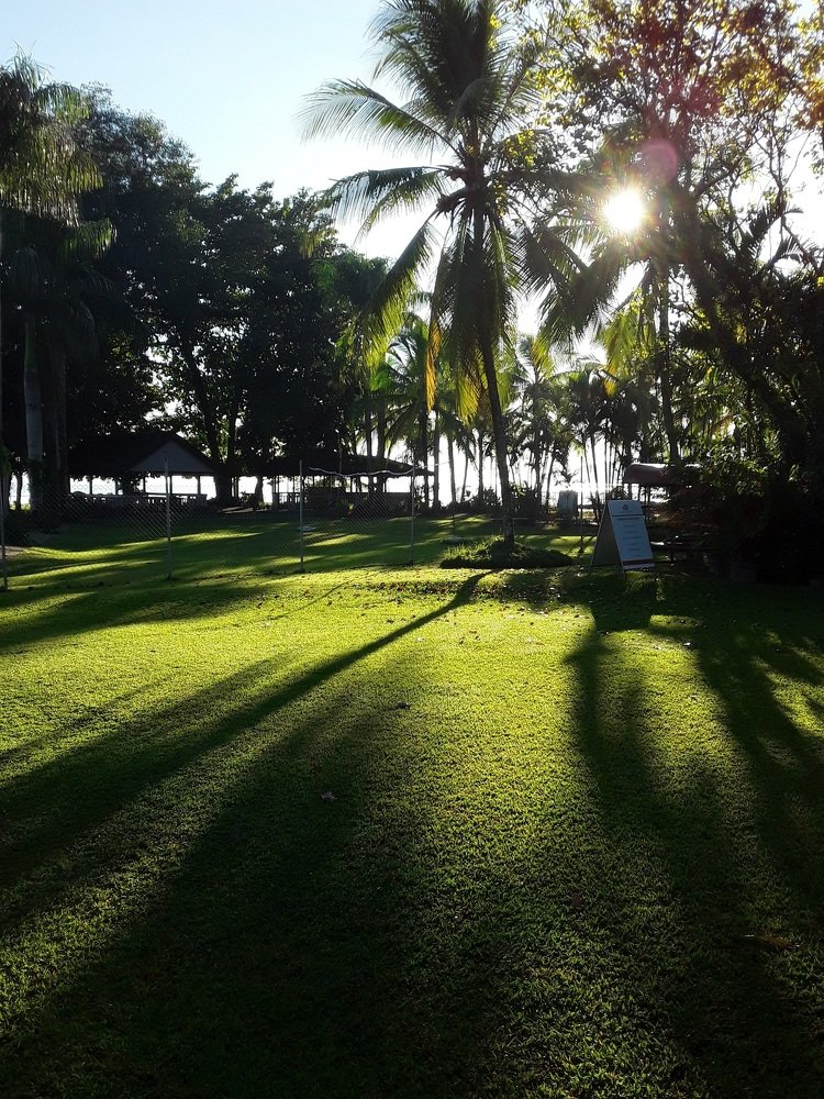 Photo #4963306