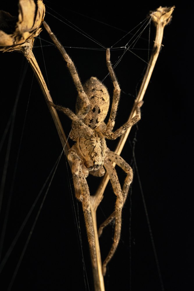 Photograph by Михаил Курихин