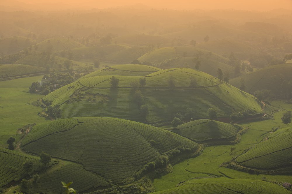 Photograph by thang nguyenvan