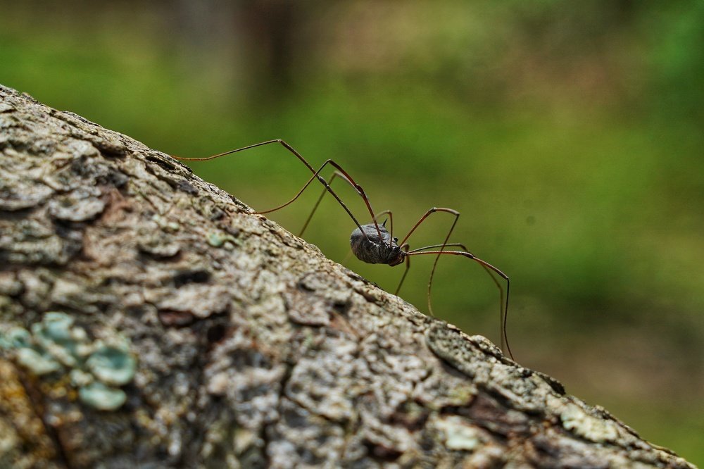 Photograph by Tu Henry