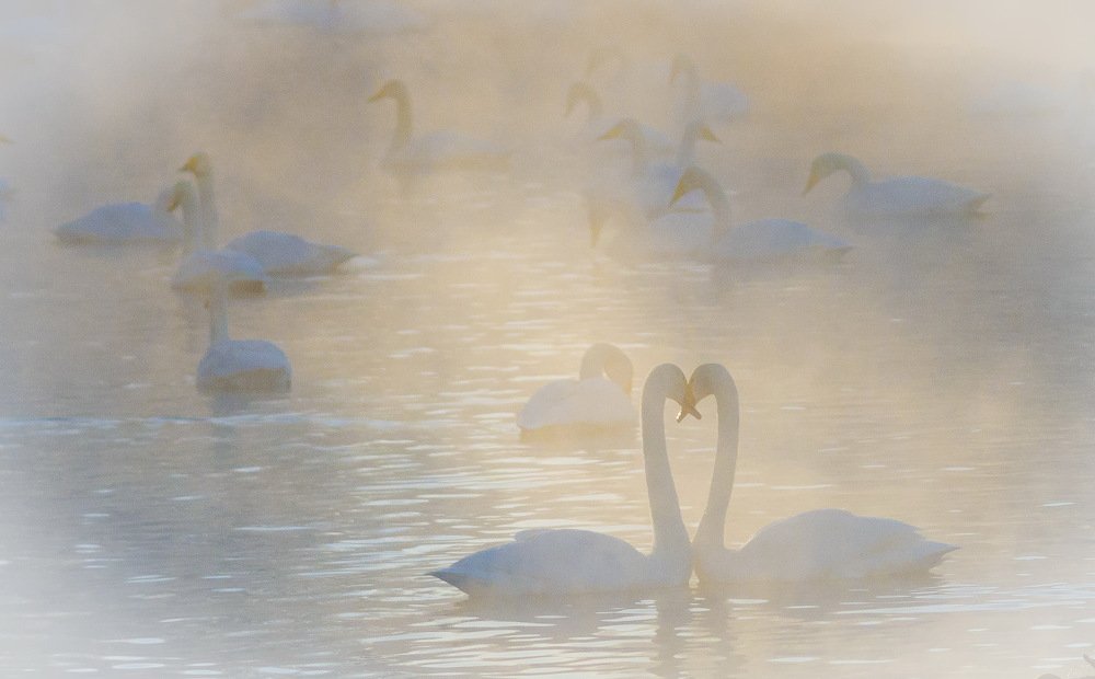 Ты выйдешь за меня?