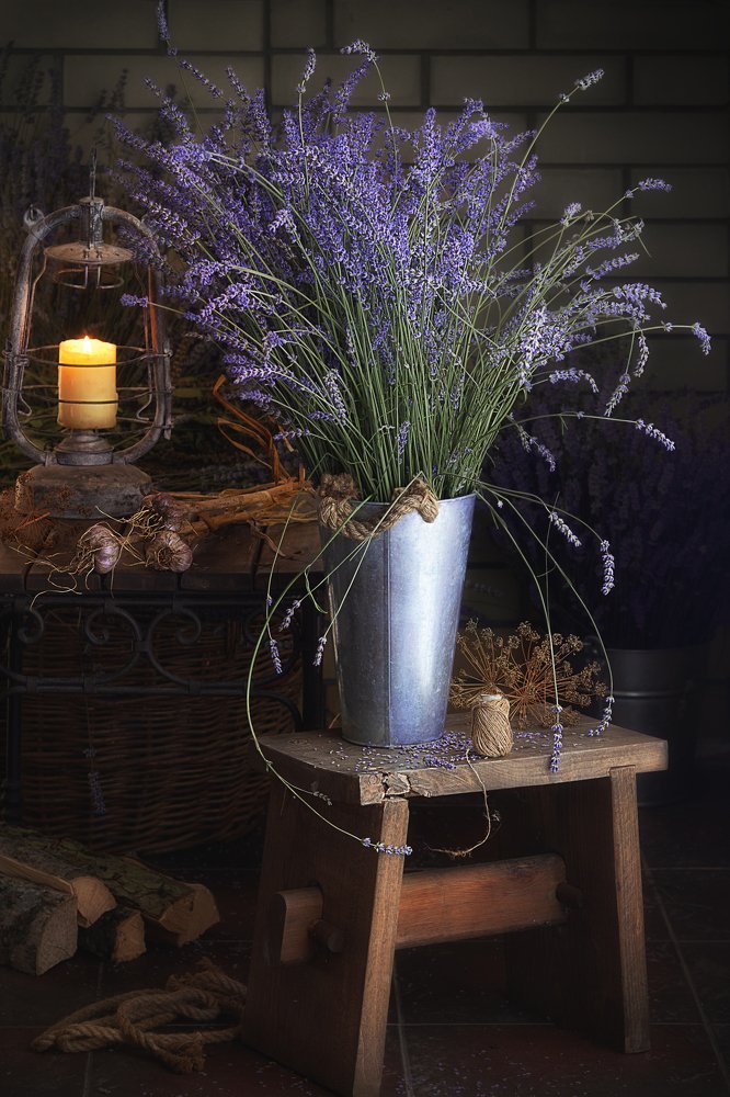 Photograph by Светлана Сагайдачная