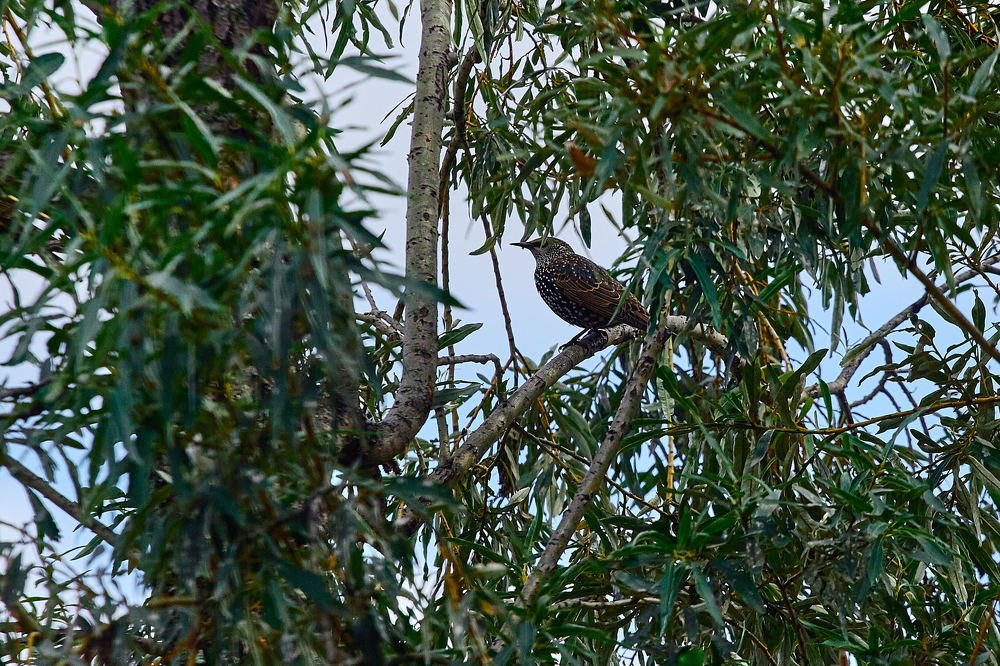 Photograph by Константин Кузнецов