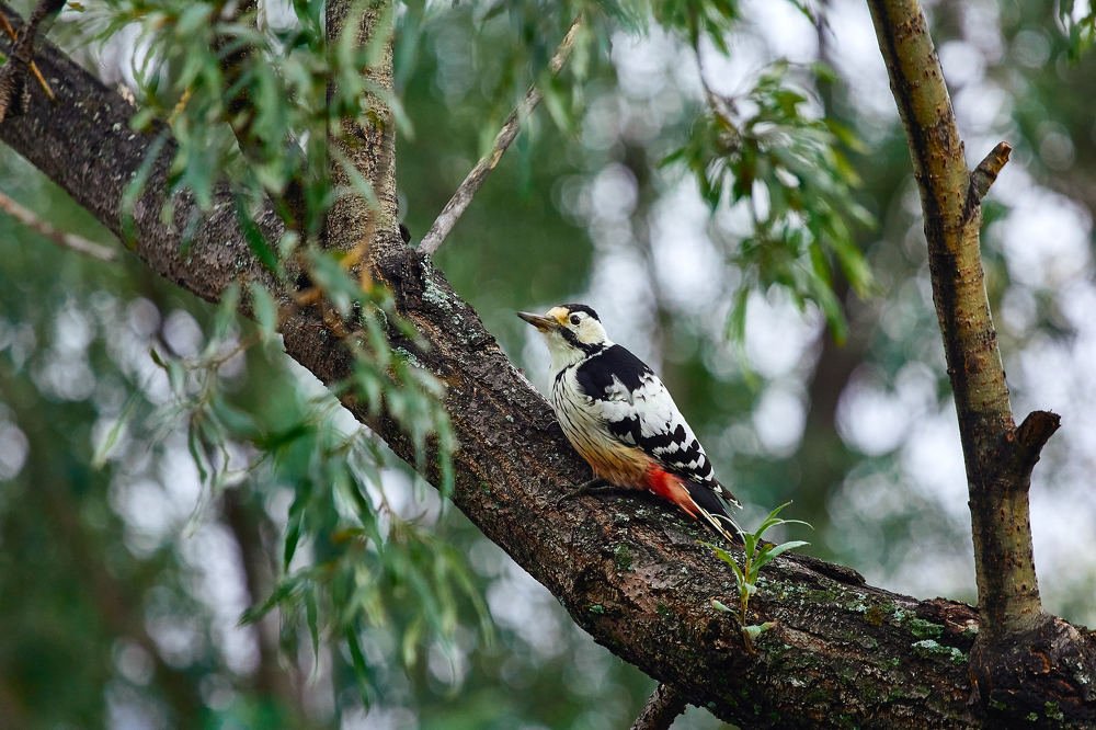 Photograph by Константин Кузнецов