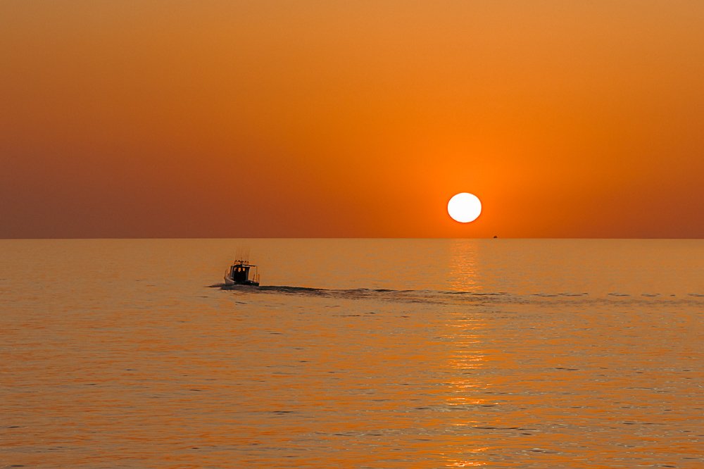 За солнцем.