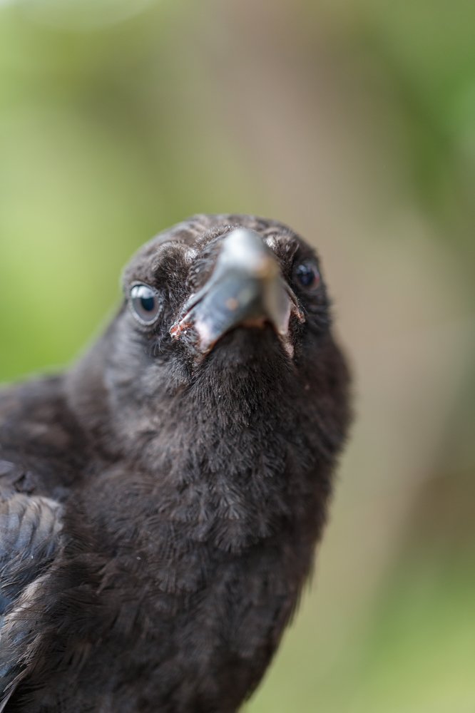 Photograph by Veronika Trubnikova