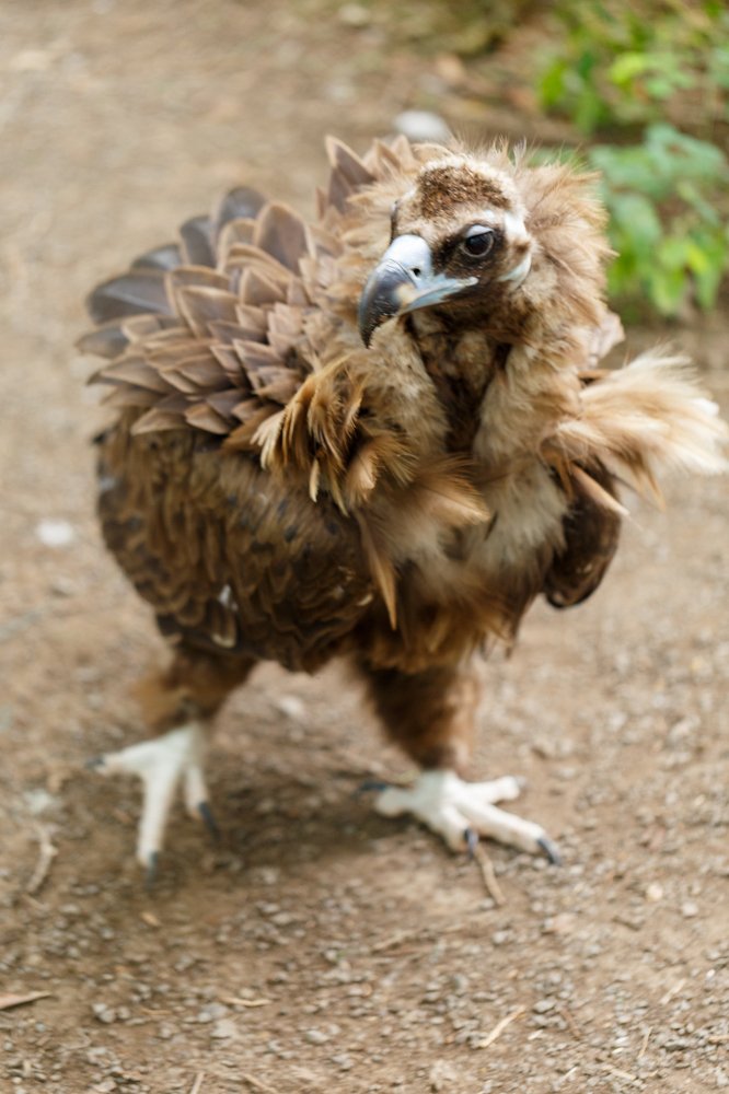 Photograph by Veronika Trubnikova