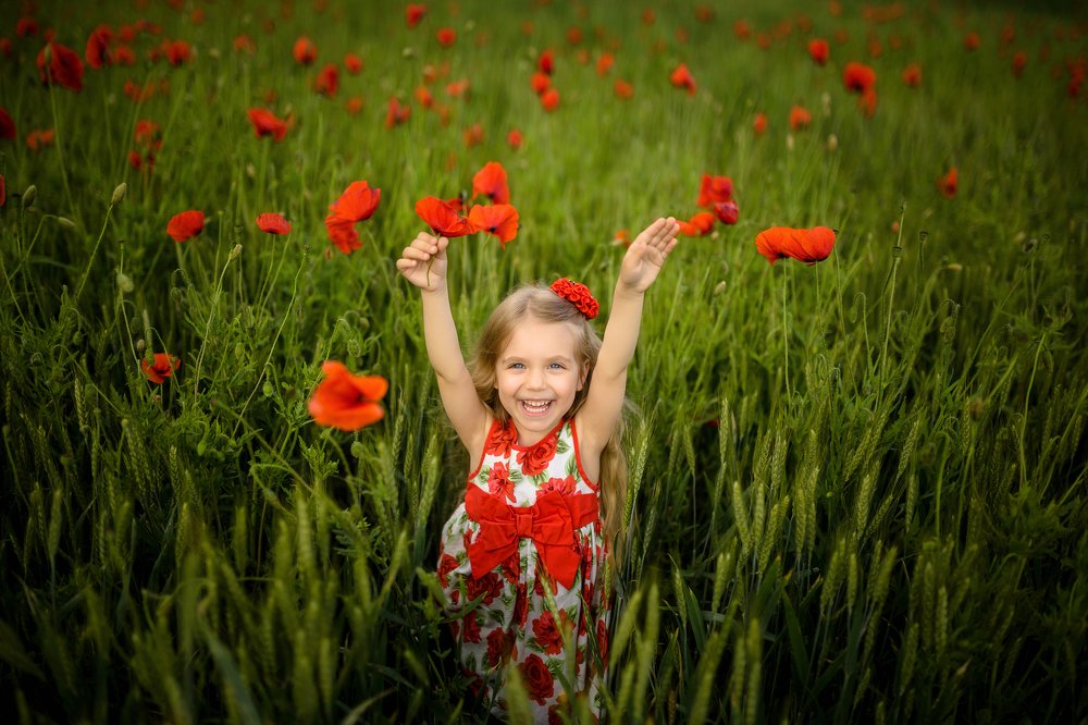 Photograph by Сергей Шкрябий