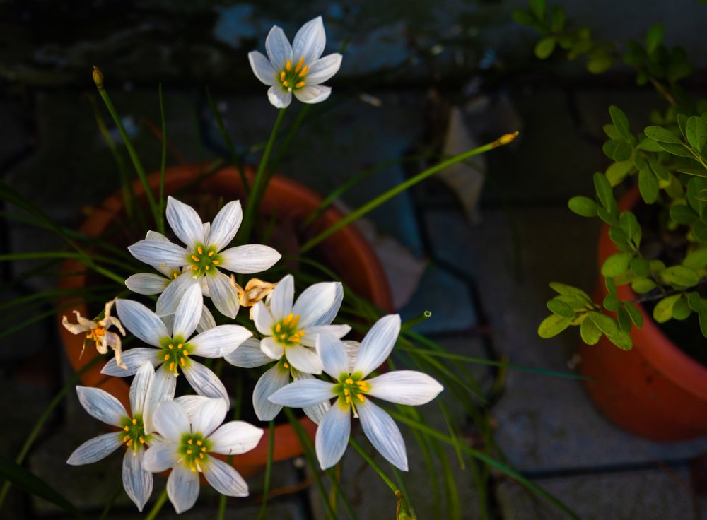 Photograph by Александр Антонов