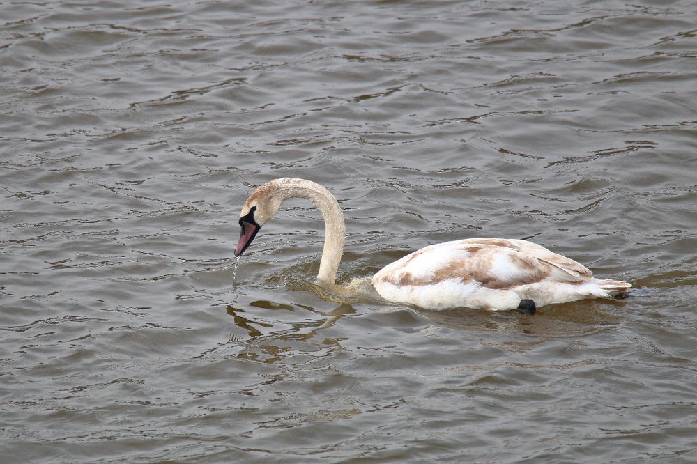 Photograph by Алексей Федулов