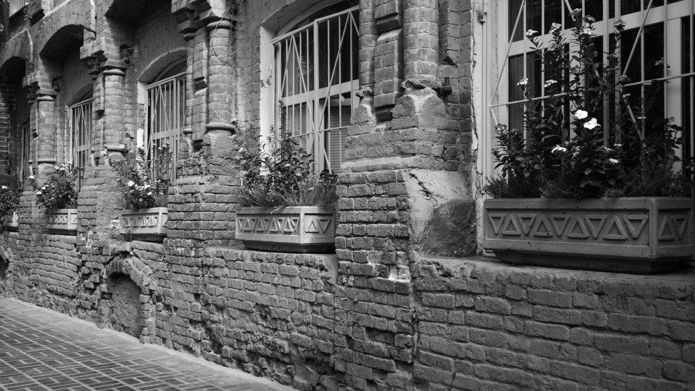 Photograph by Виталий Лозовой