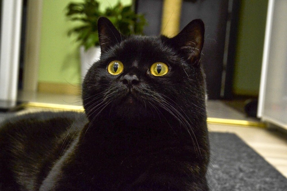 Photograph by Алена Теслюк