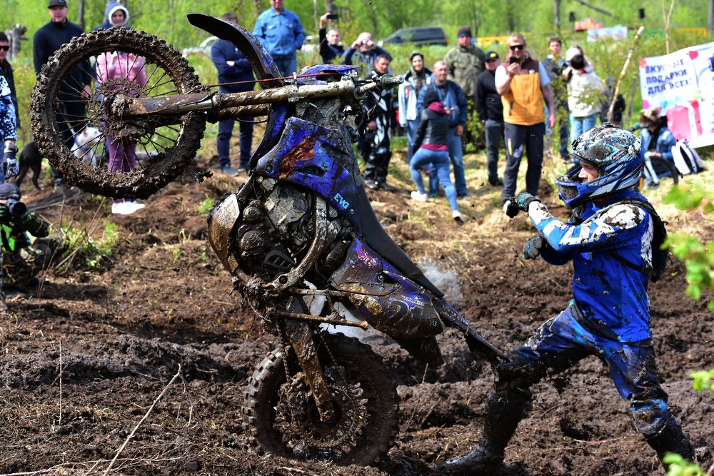 Укрощение строптивого