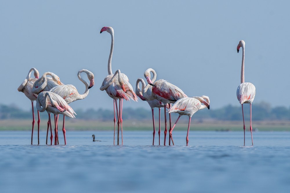 Photograph by Suman Paul