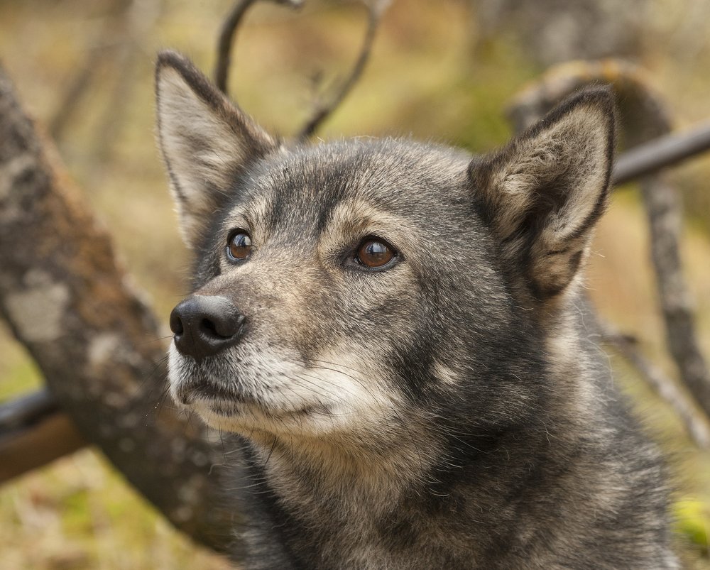Photograph by Юрий Чернов
