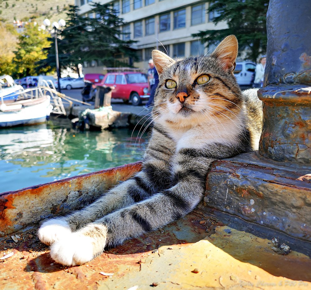 Photograph by Юрий Чернов