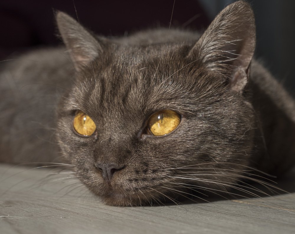 Photograph by Юрий Чернов