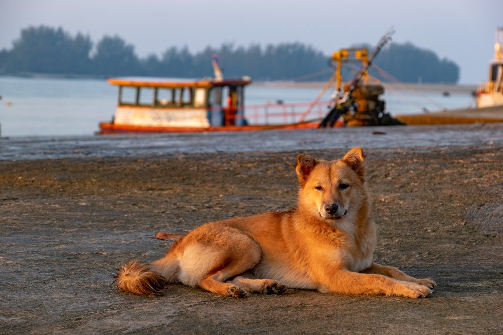 Photograph by Юрий Чернов