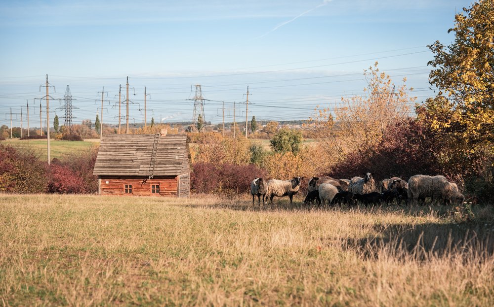 Photograph by Галина Нечипорук