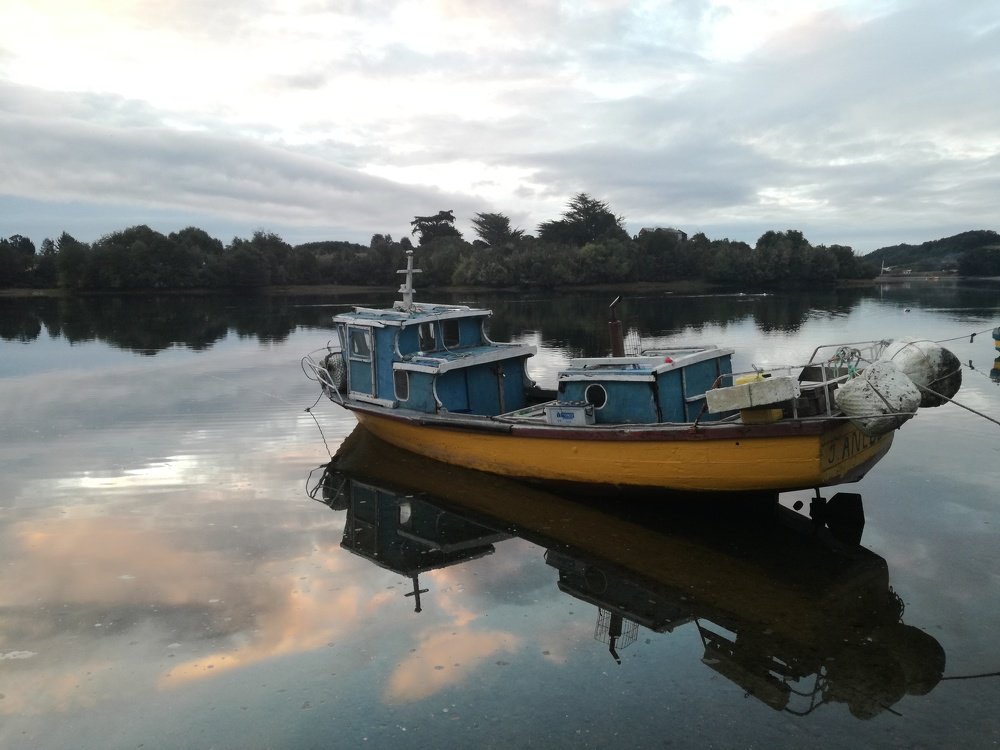Photo #4963991
