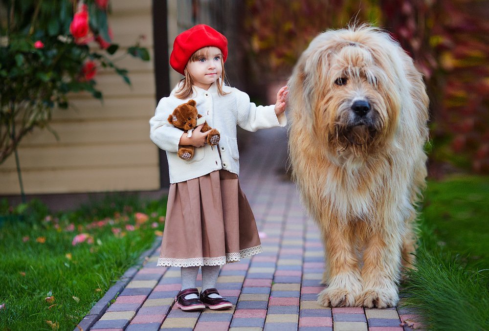 Фотография автора Алина Ланкина