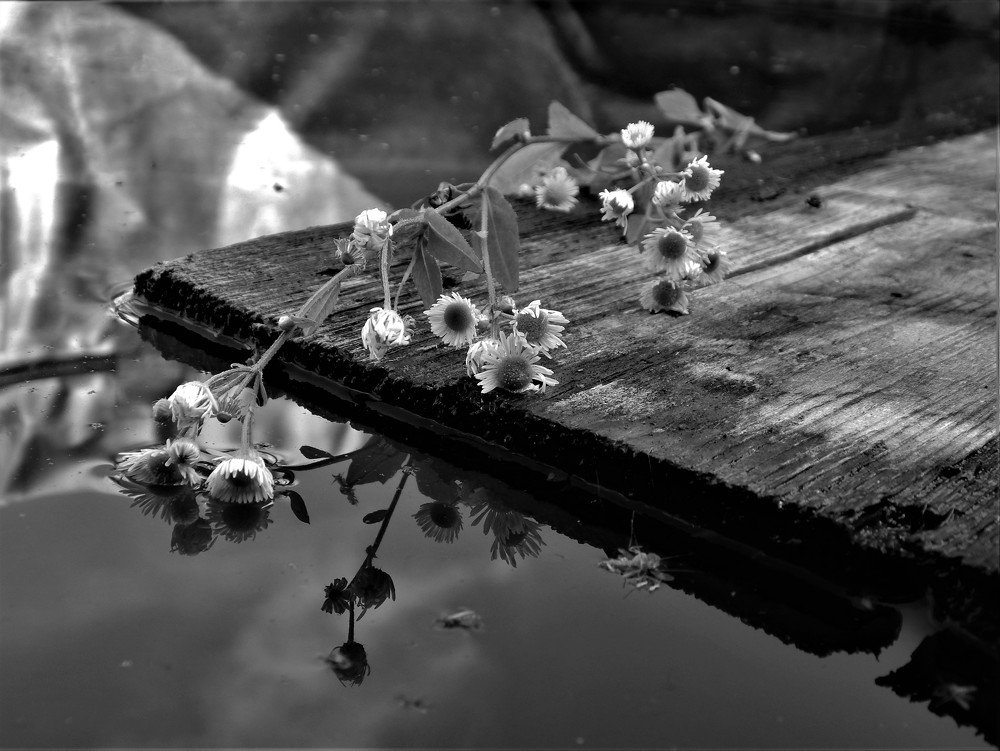 Photograph by Ирина Самойленко