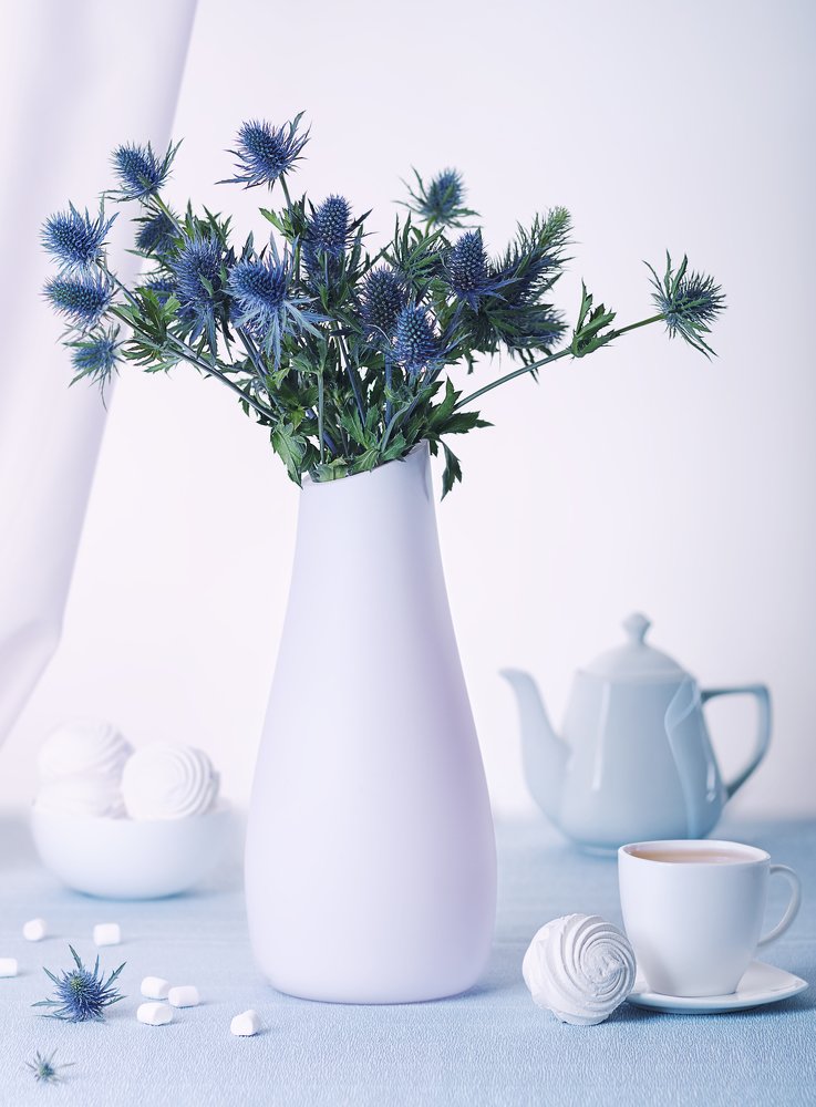 Photograph by Светлана Сагайдачная