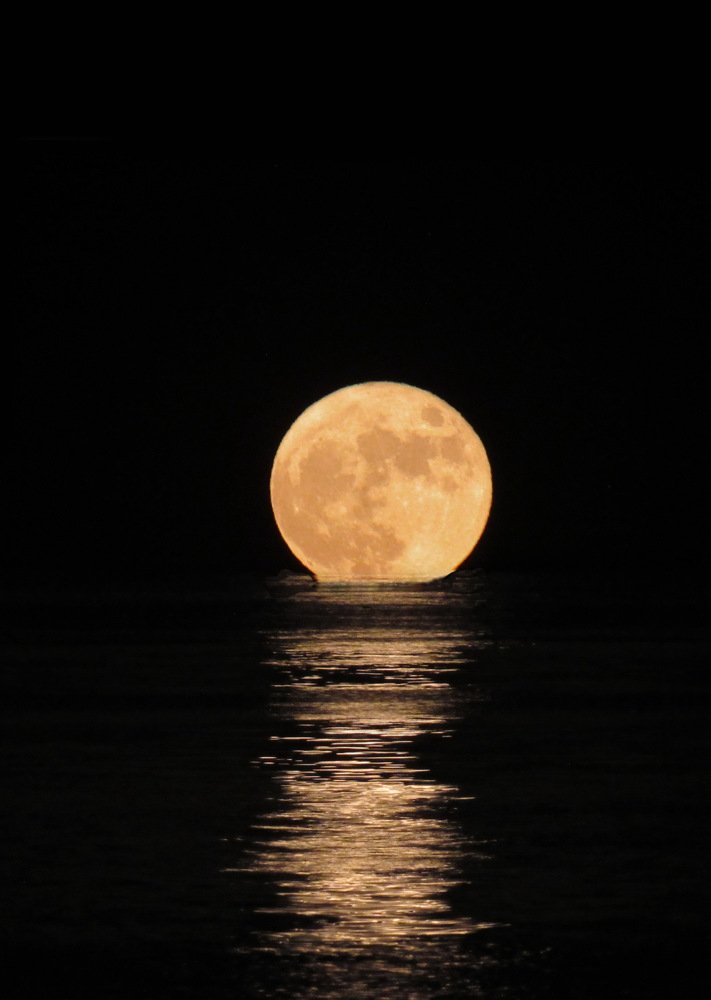 Photograph by Светлана Шмигельская