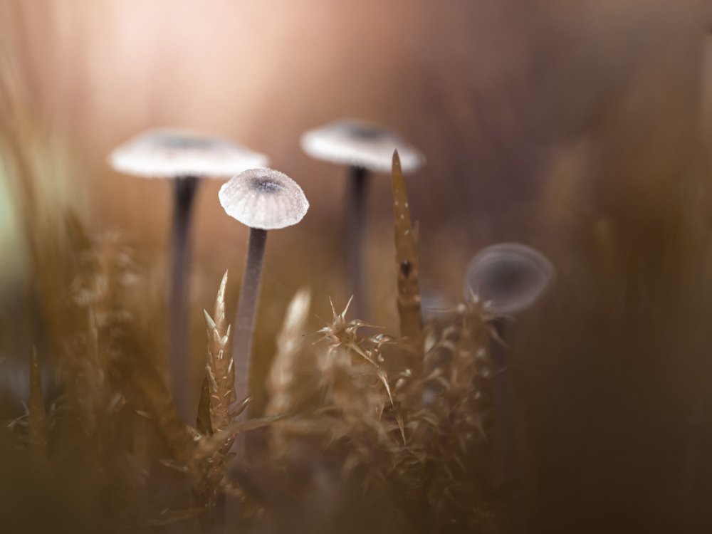 Photograph by Sylwia Ratajczyk