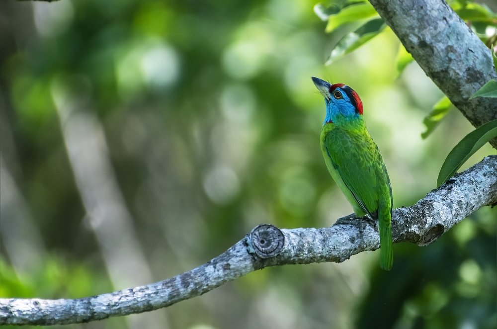 Photograph by Souvick Mukherjee