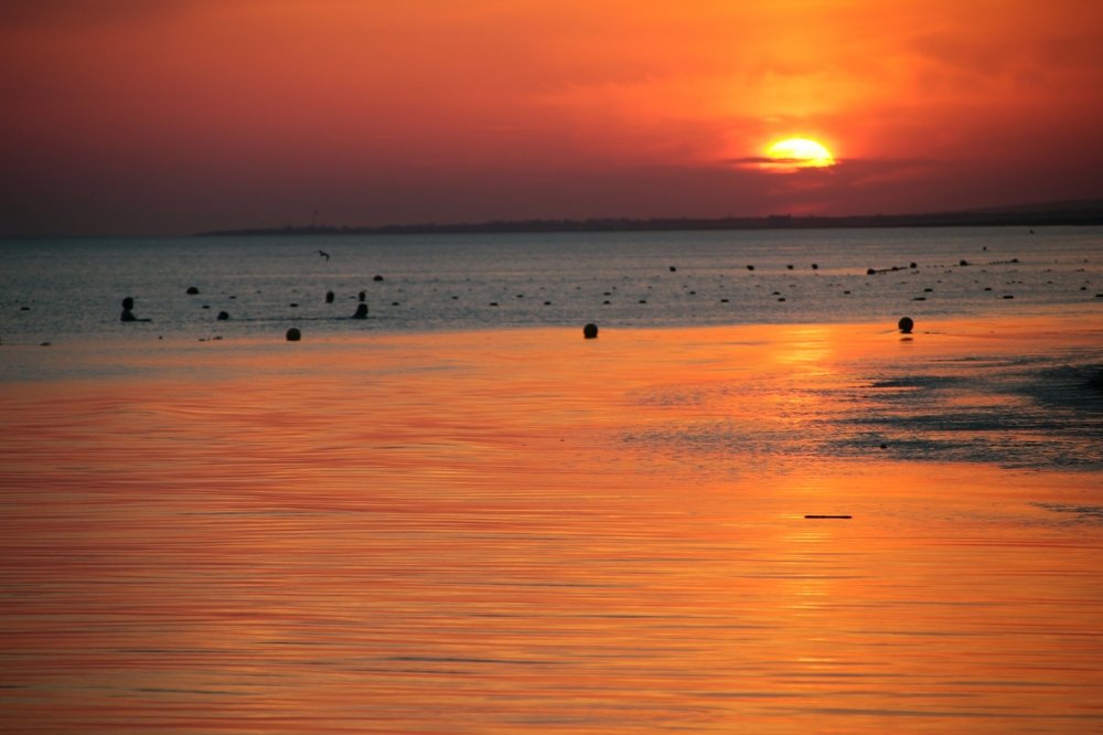 Photograph by Борис Каширин