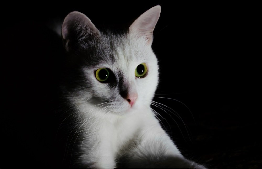 Photograph by Никита Богомолов