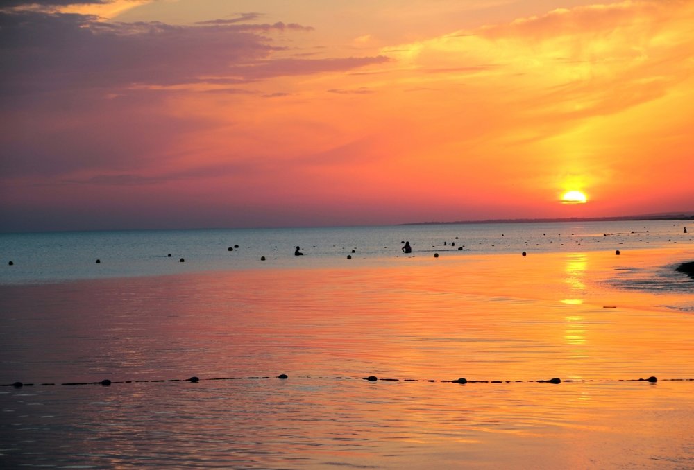 Photograph by Борис Каширин