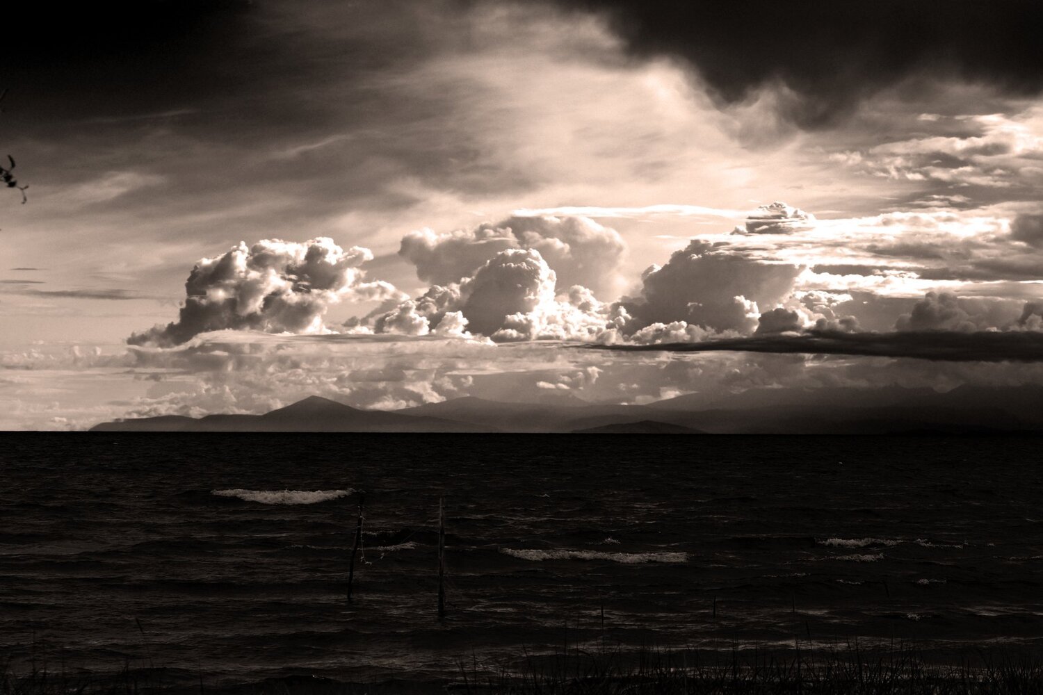 Photo #4964325