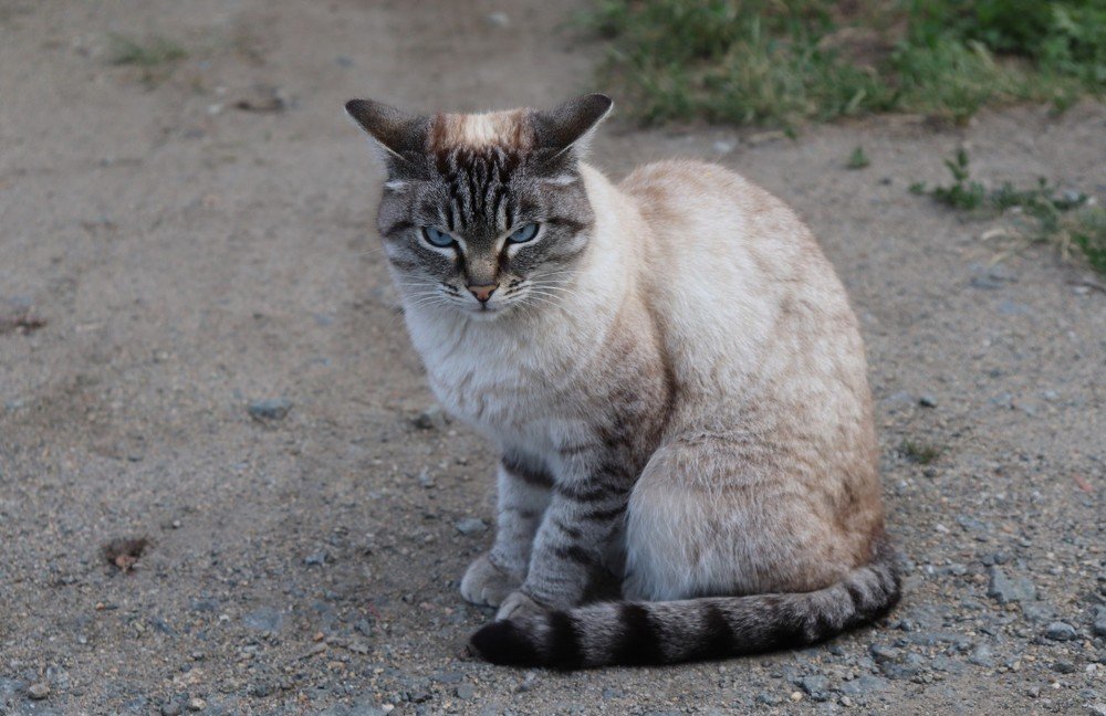 Photograph by Татьяна Котельникова