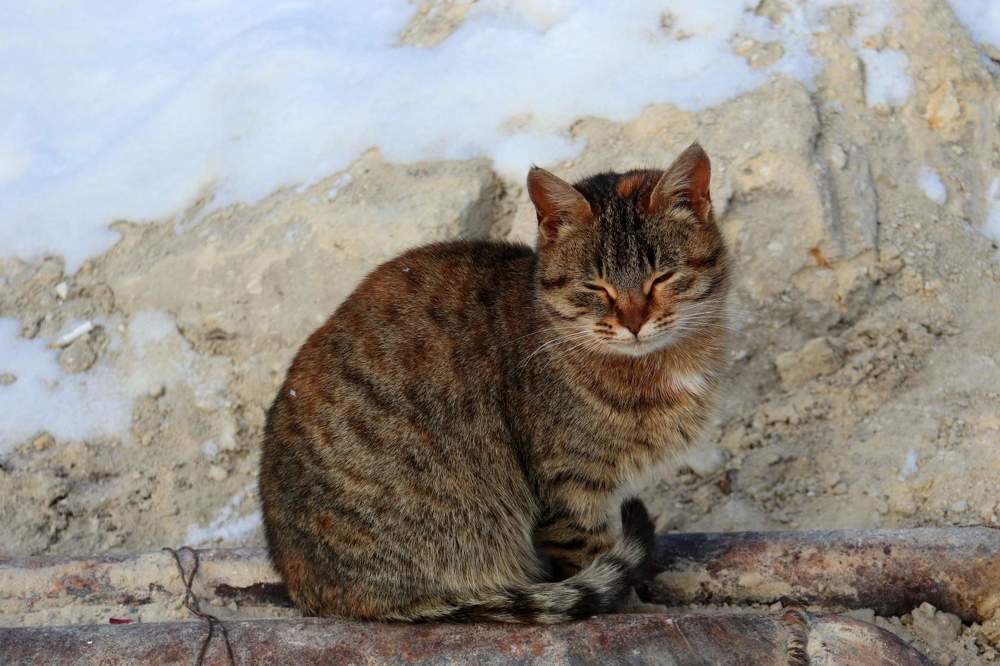 Photograph by Татьяна Котельникова