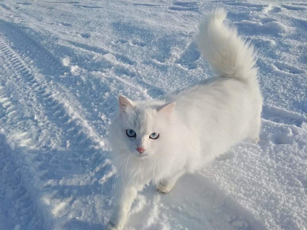 Photograph by Татьяна Котельникова