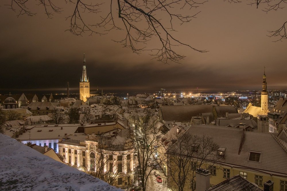 Photograph by Viktoria Alaküla