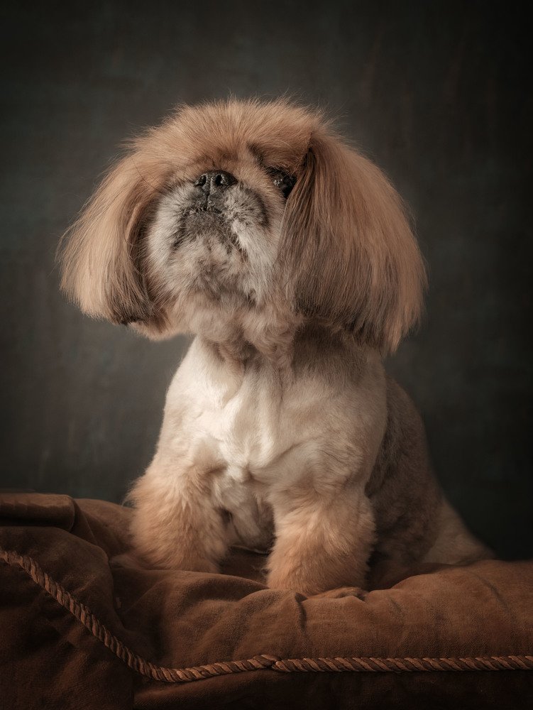 Photograph by Viktoria Alaküla