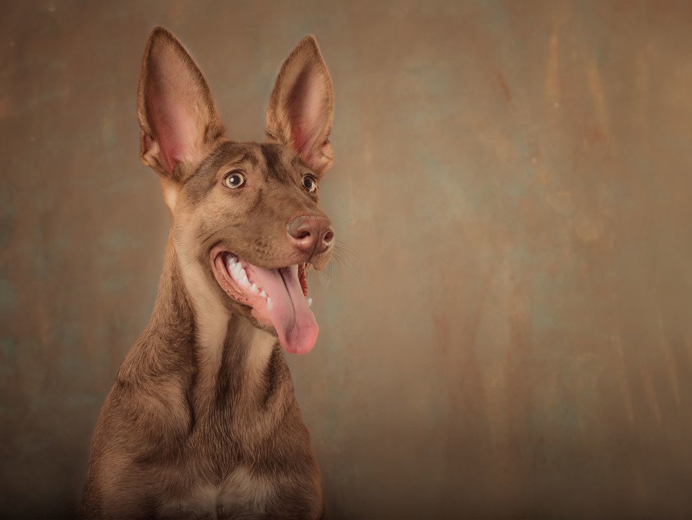 Photograph by Viktoria Alaküla