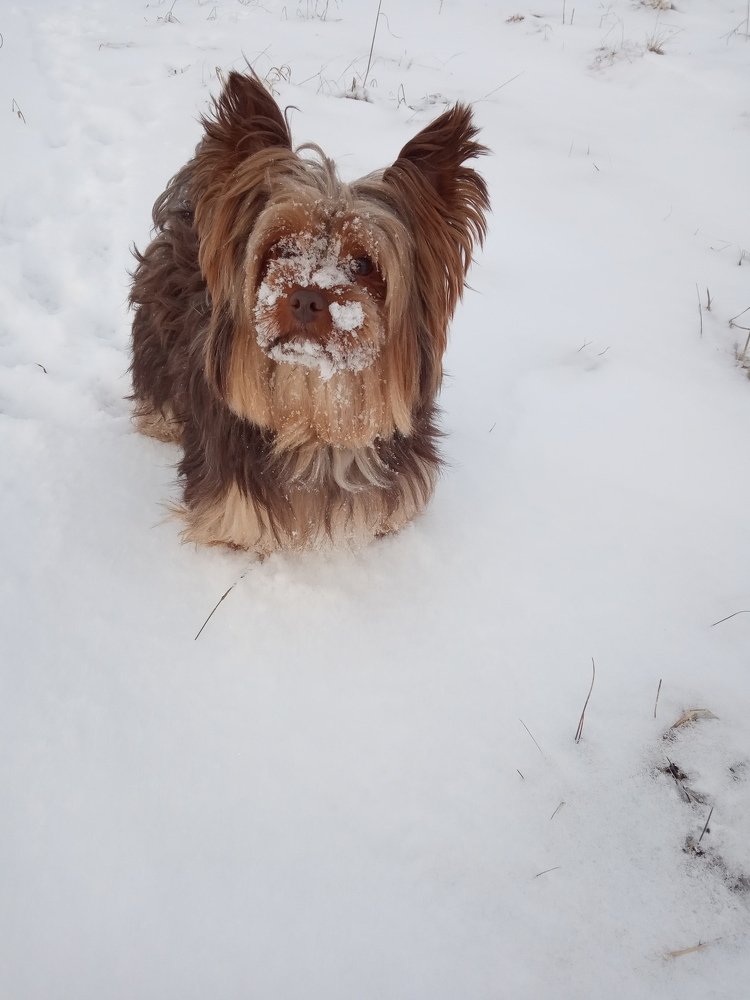 Photograph by Любовь Шаврина